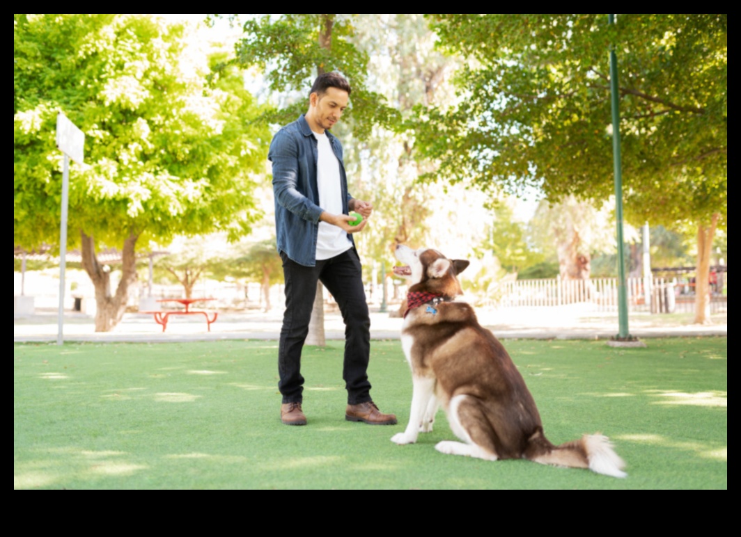 Parkta Bir Yürüyüş: Köpeğinizle Açık Hava Maceralarını Keşfetmek